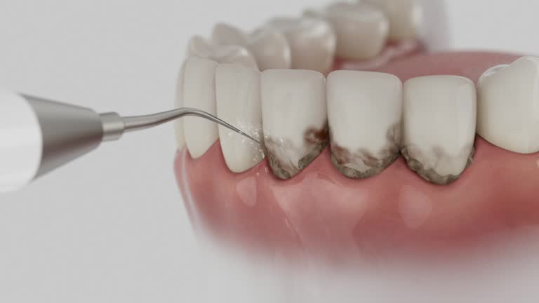 Reliable Dental contractor in Baidland, PA by Dentist Open Now